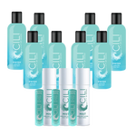 Cili Networker Pack Swish Ageless mit Facial Mist_Megesa